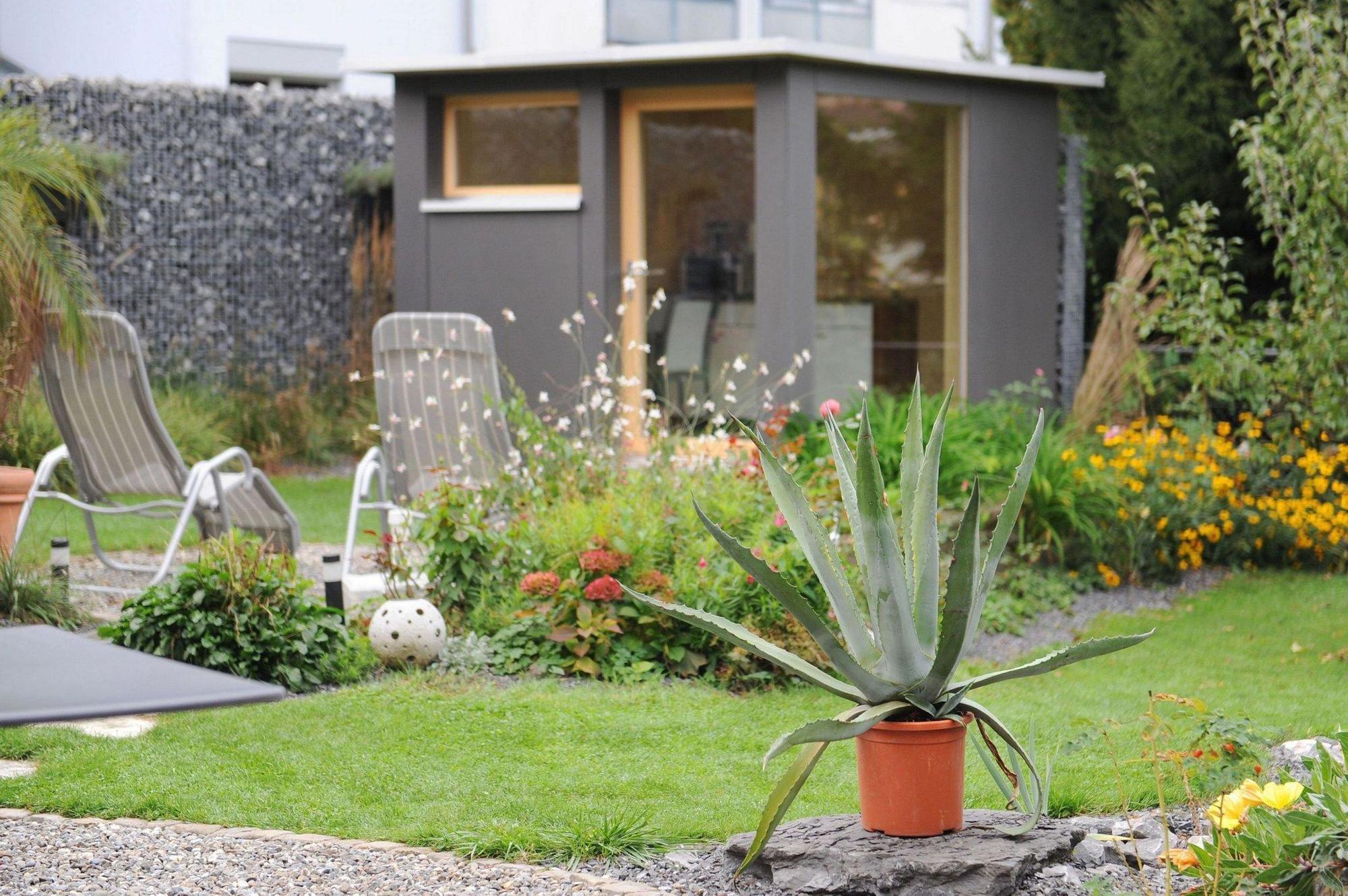 Derby - Action & Relax Hub Interlaken
